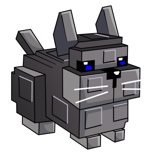 Chinchilla