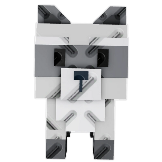 Raccoon