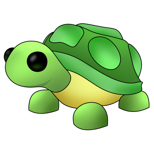 Turtle - MFR