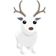 Arctic Reindeer - FR