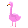 Flamingo - FR