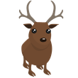 Reindeer - FR