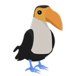 Toucan - FR