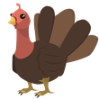 Turkey - NFR